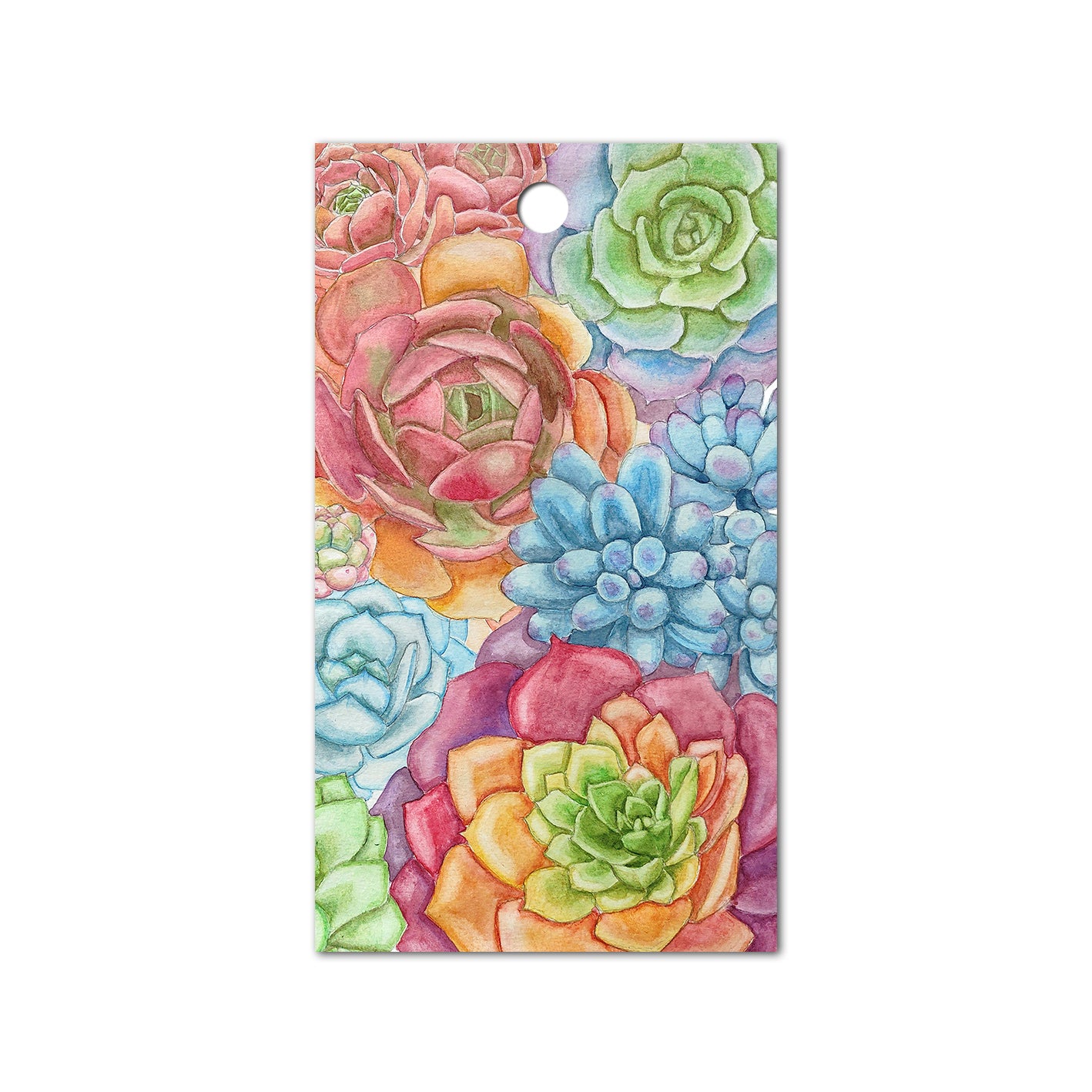Succulents Gift Tag, Set of 4