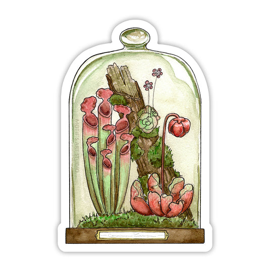 Carnivorous plant terrarium with red and green pitcher plants and butterworts on mossy tree bark.