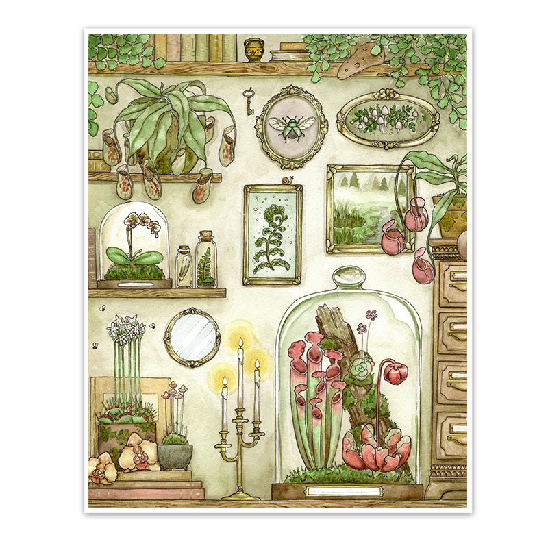 Art print of carnivorous plants, orchids and ferns in terrariums surrounded by antique frames and old books.