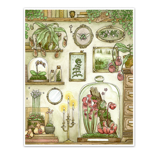 Art print of carnivorous plants, orchids and ferns in terrariums surrounded by antique frames and old books.