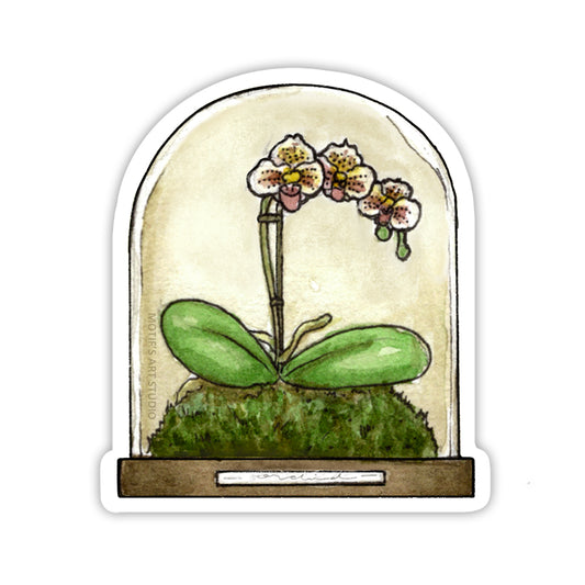 Sticker of a white orchid with a hint of yellow and magenta sitting on a moss mound in a round bell jar terrarium.