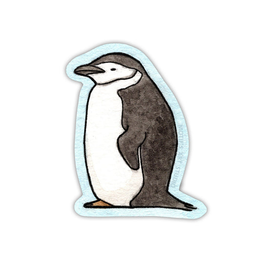 Sleepy little chinstrap penguin hunched over with a light blue border.