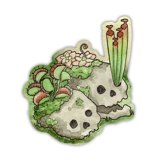 Two skulls covered in moss and colorful carnivorous plants.