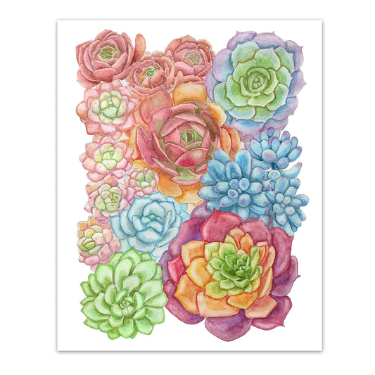 Colorful Succulent Art Print