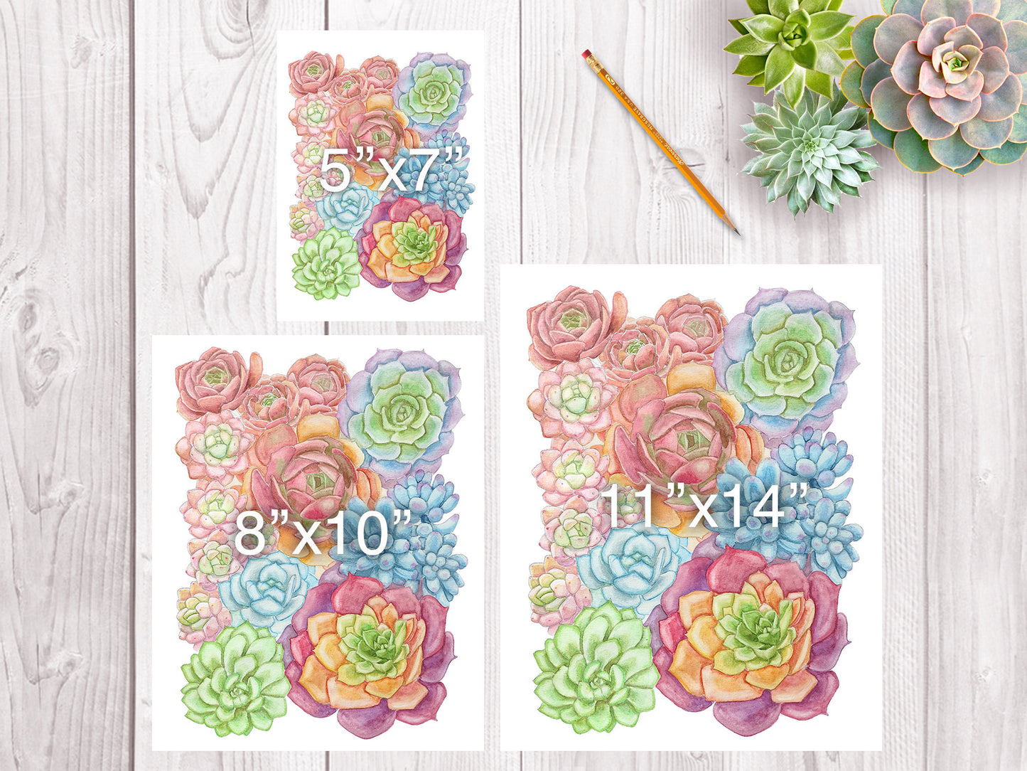Colorful Succulent Art Print