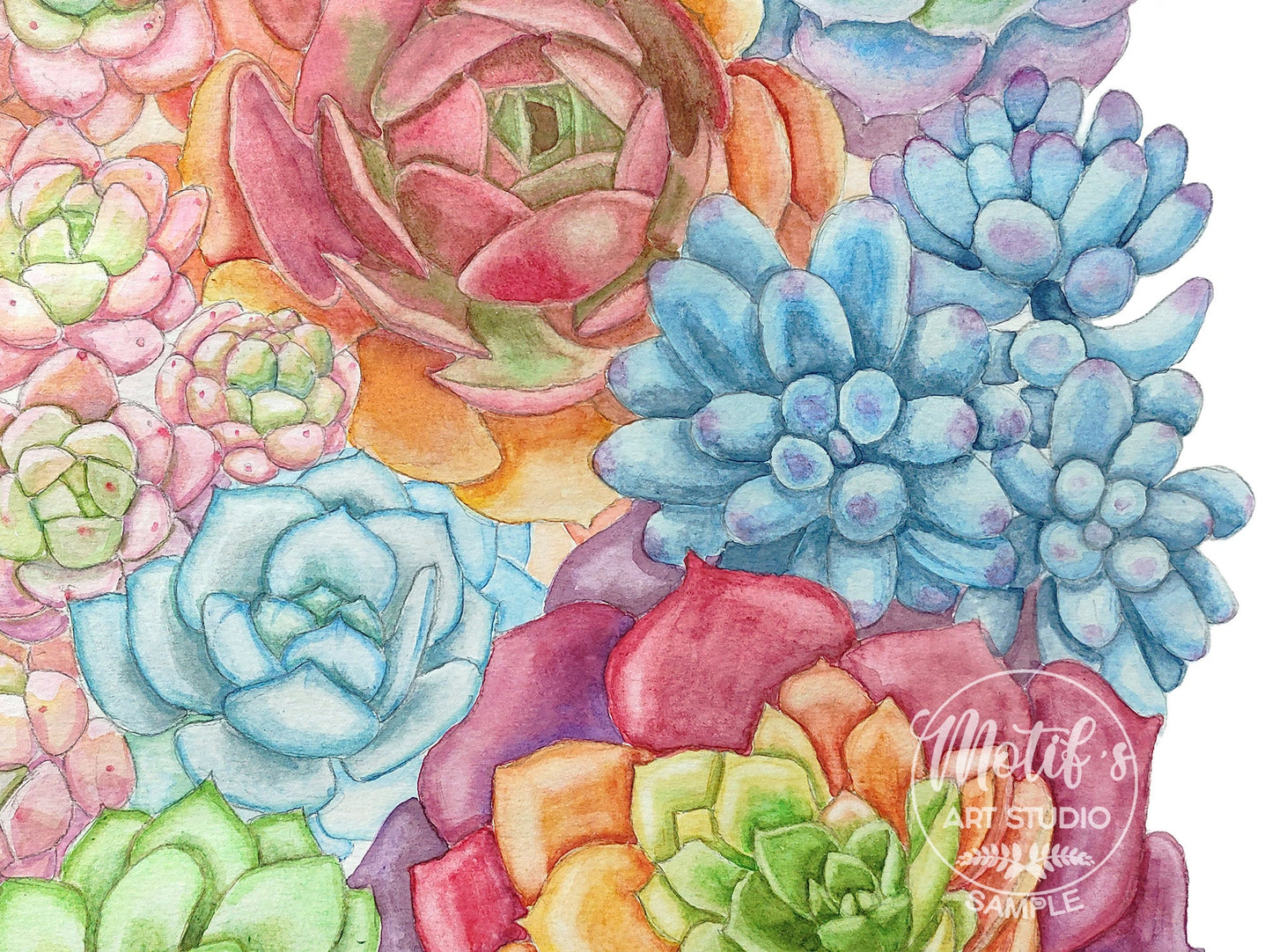 Colorful Succulent Art Print