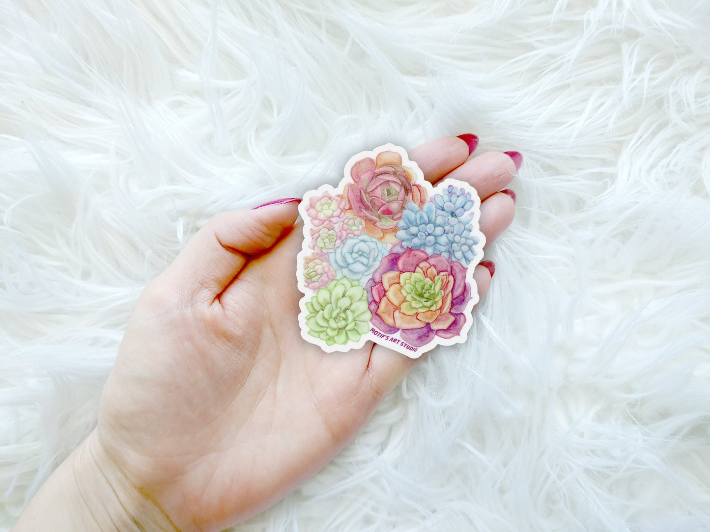 Colorful Succulents Sticker