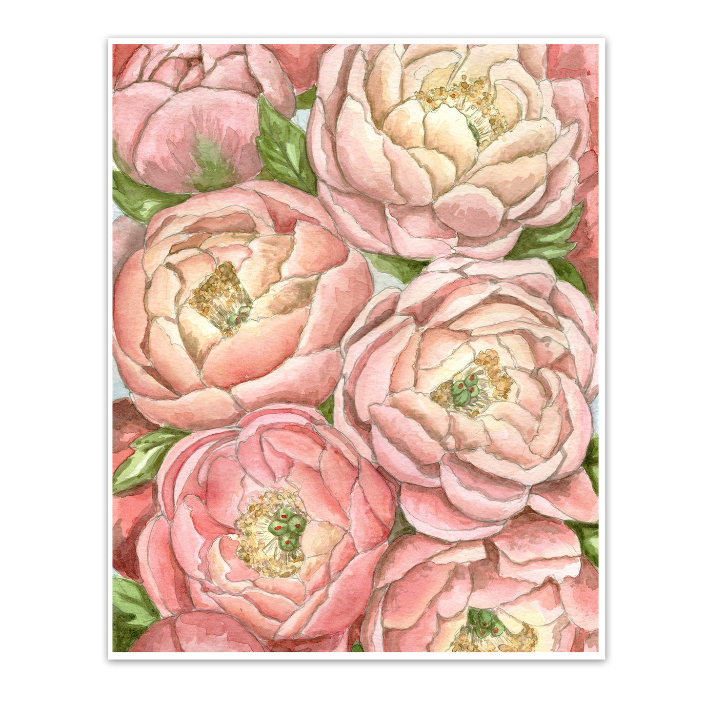 Art print covered with watercolored soft pink peonies.