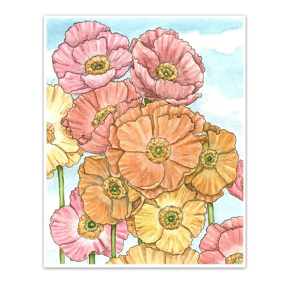 Spring Poppies Art Print