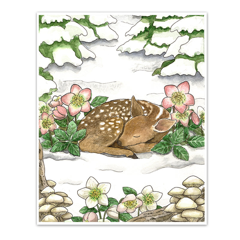 Sleeping Fawn Art Print