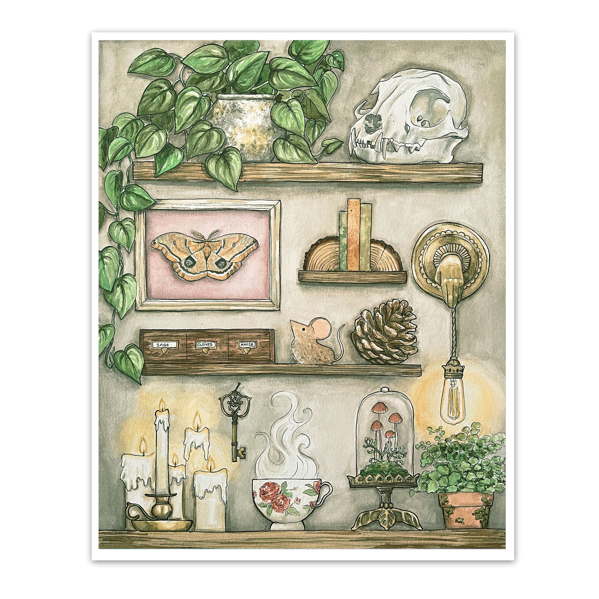 an art print of wooden shelves carrying a variety of mysterious and whimsical items and plants and candles